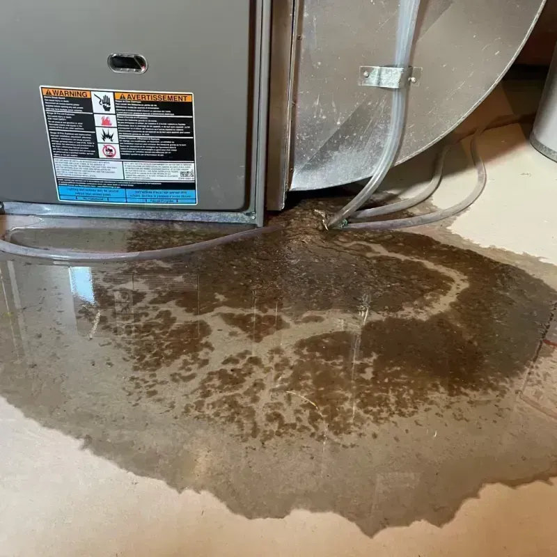 Appliance Leak Cleanup in Twentynine Palms, CA